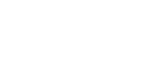 logo-sdbss